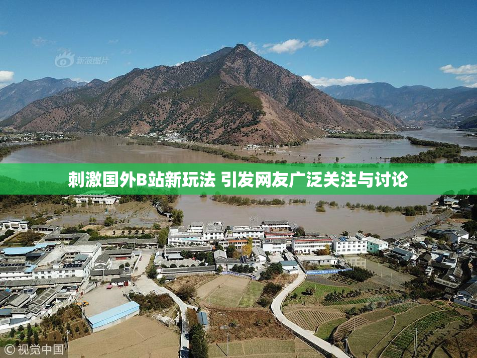 刺激国外B站新玩法 引发网友广泛关注与讨论