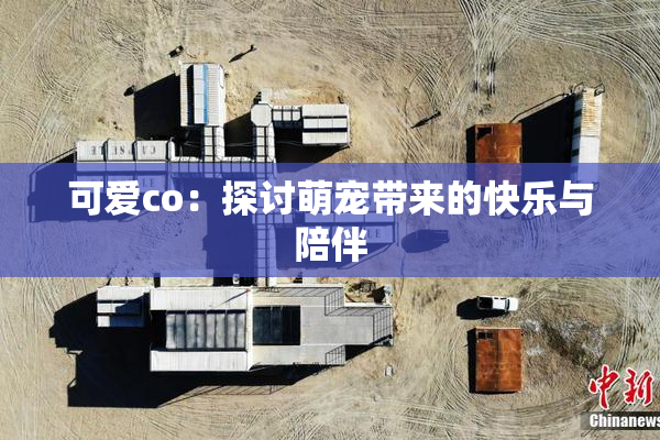 可爱co：探讨萌宠带来的快乐与陪伴
