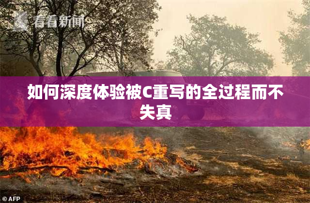 如何深度体验被C重写的全过程而不失真
