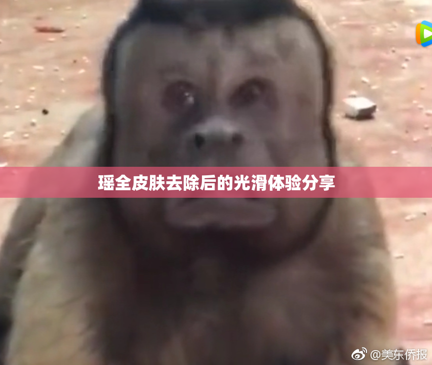 瑶全皮肤去除后的光滑体验分享