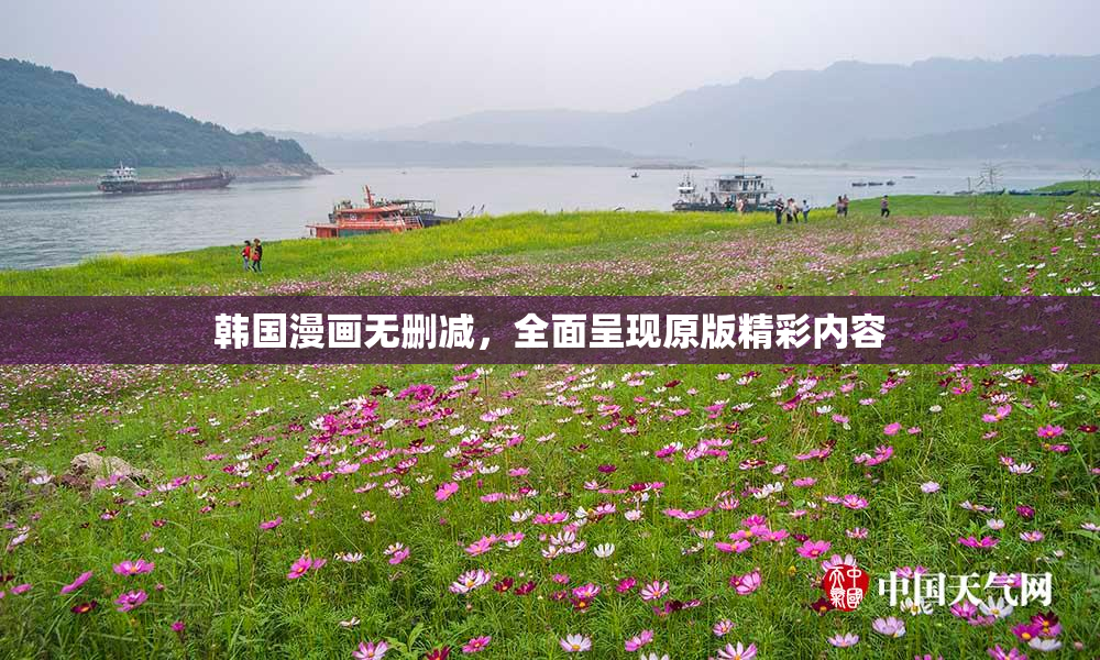 韩国漫画无删减，全面呈现原版精彩内容