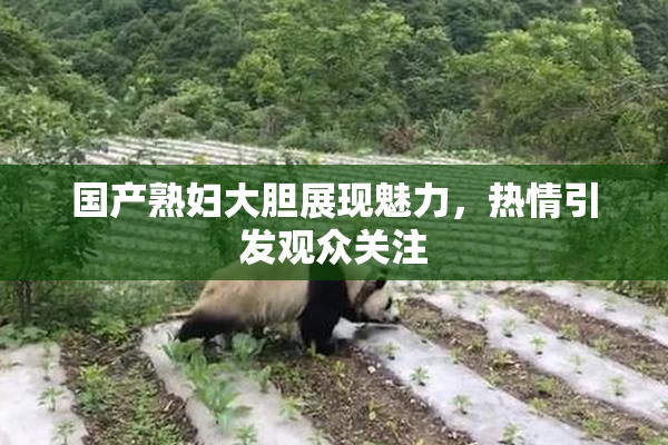 国产熟妇大胆展现魅力，热情引发观众关注