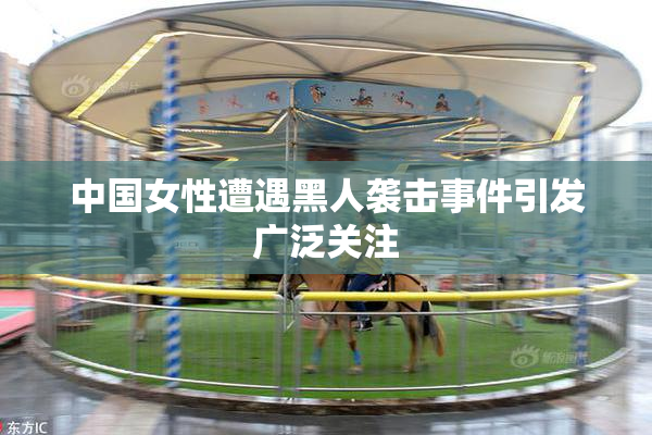 中国女性遭遇黑人袭击事件引发广泛关注