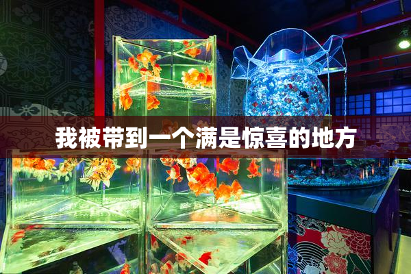 我被带到一个满是惊喜的地方
