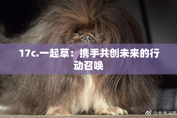 17c.一起草：携手共创未来的行动召唤