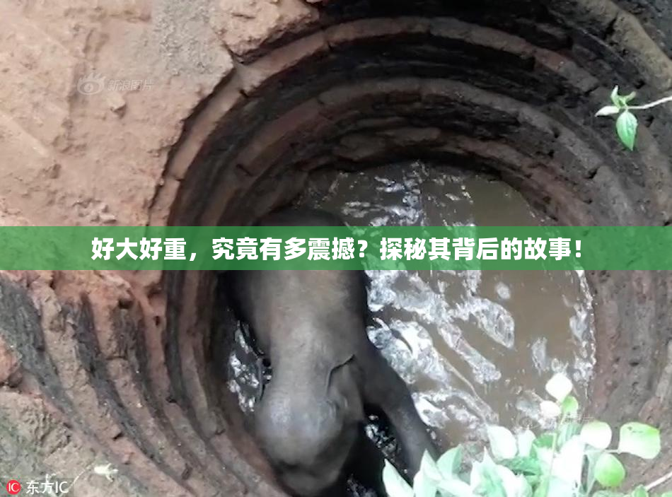 好大好重，究竟有多震撼？探秘其背后的故事！