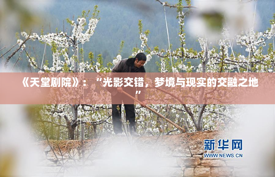 《天堂剧院》：“光影交错，梦境与现实的交融之地”