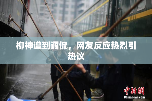 柳神遭到调侃，网友反应热烈引热议