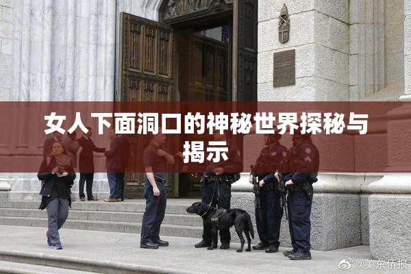 女人下面洞口的神秘世界探秘与揭示