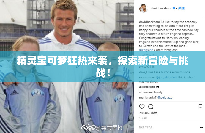 精灵宝可梦狂热来袭，探索新冒险与挑战！