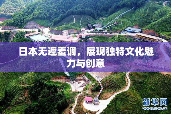 日本无遮羞调，展现独特文化魅力与创意