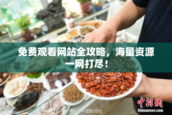 免费观看网站全攻略，海量资源一网打尽！