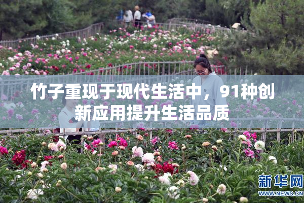 竹子重现于现代生活中，91种创新应用提升生活品质