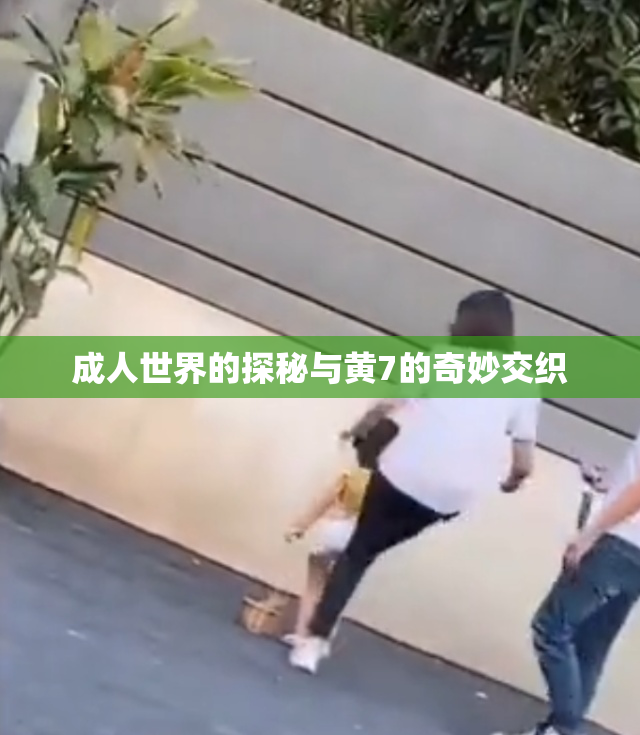 成人世界的探秘与黄7的奇妙交织