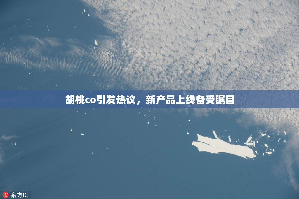 胡桃co引发热议，新产品上线备受瞩目