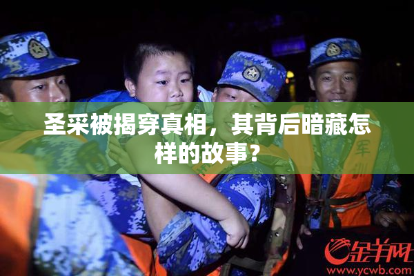 圣采被揭穿真相，其背后暗藏怎样的故事？