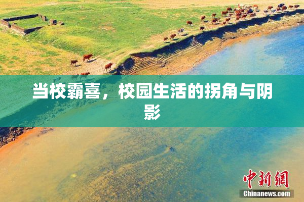 当校霸喜，校园生活的拐角与阴影