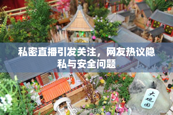 私密直播引发关注，网友热议隐私与安全问题