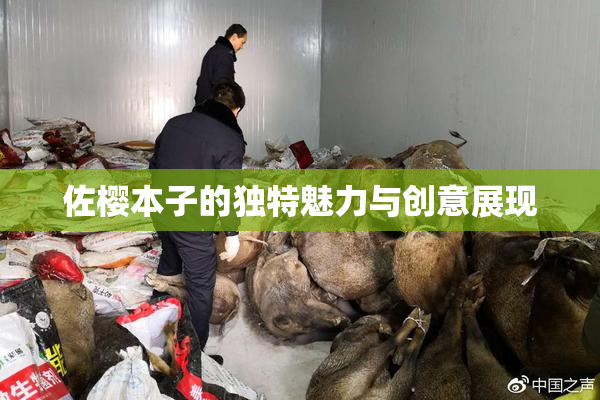 佐樱本子的独特魅力与创意展现