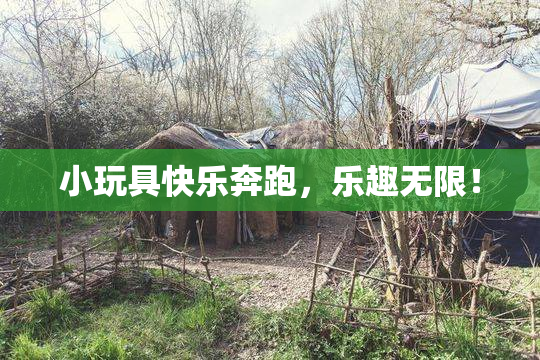 小玩具快乐奔跑，乐趣无限！