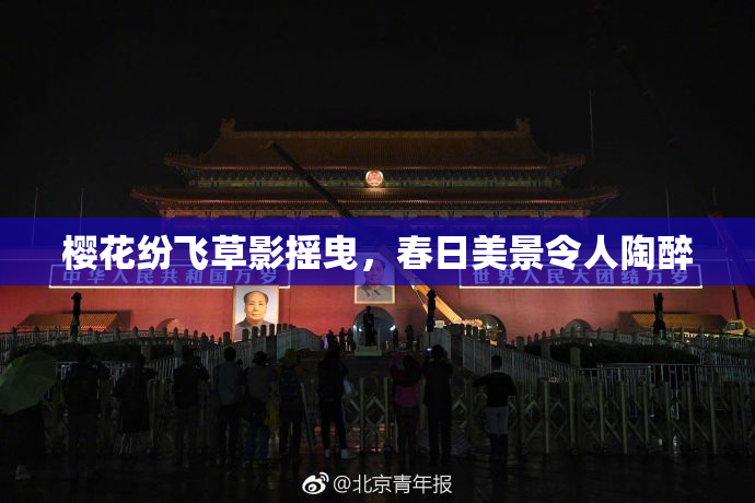 樱花纷飞草影摇曳，春日美景令人陶醉