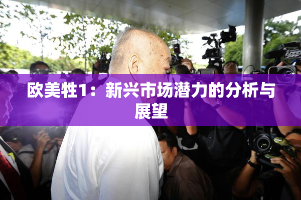欧美牲1：新兴市场潜力的分析与展望