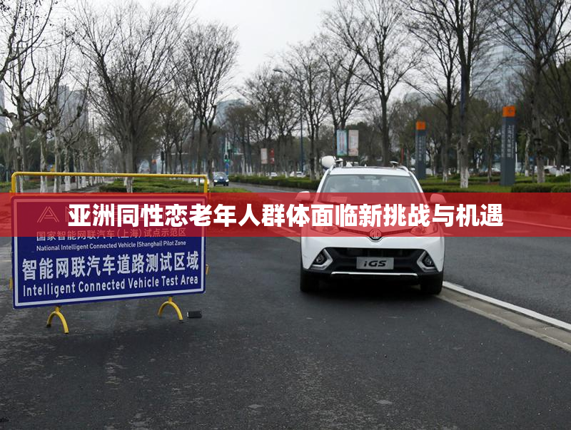 亚洲同性恋老年人群体面临新挑战与机遇
