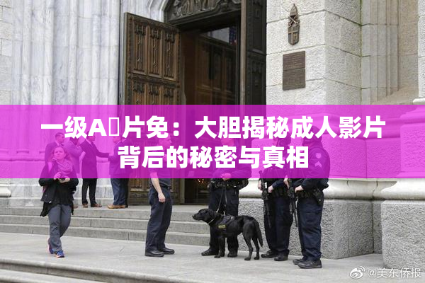 一级A婬片免：大胆揭秘成人影片背后的秘密与真相