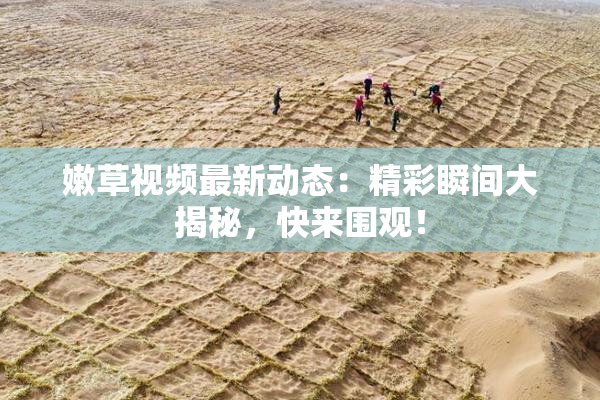 嫩草视频最新动态：精彩瞬间大揭秘，快来围观！