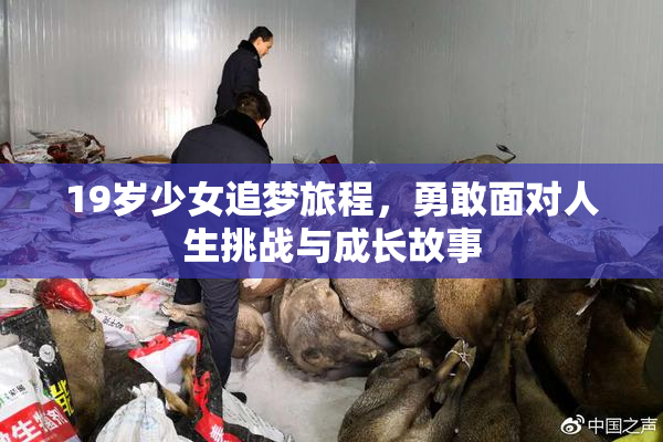 19岁少女追梦旅程，勇敢面对人生挑战与成长故事