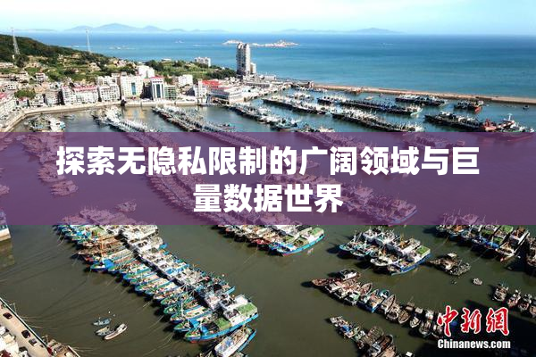 探索无隐私限制的广阔领域与巨量数据世界