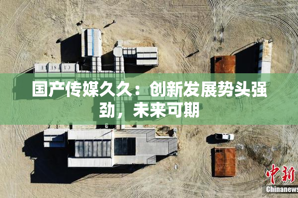 国产传媒久久：创新发展势头强劲，未来可期