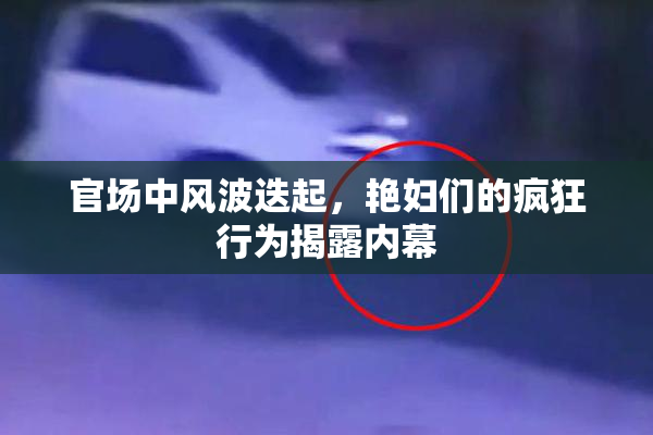 官场中风波迭起，艳妇们的疯狂行为揭露内幕