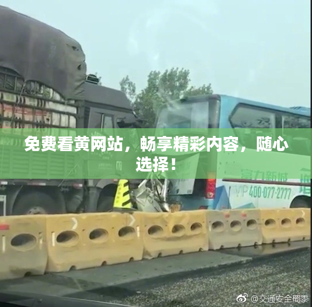 免费看黄网站，畅享精彩内容，随心选择！