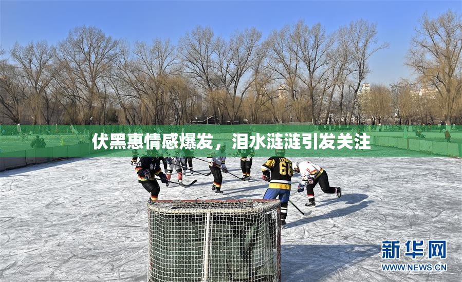 伏黑惠情感爆发，泪水涟涟引发关注