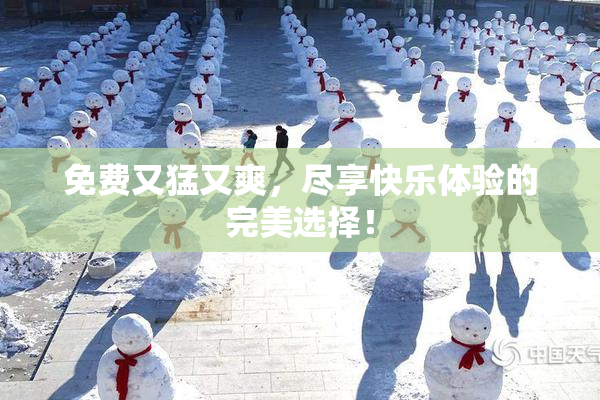 免费又猛又爽，尽享快乐体验的完美选择！