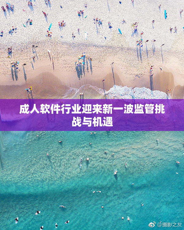 成人软件行业迎来新一波监管挑战与机遇