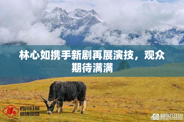 林心如携手新剧再展演技，观众期待满满