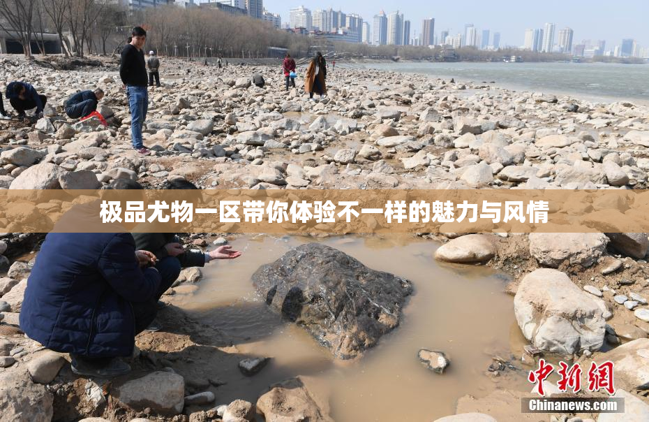 极品尤物一区带你体验不一样的魅力与风情