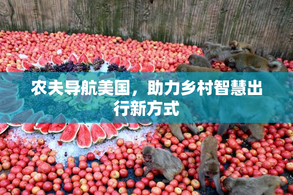 农夫导航美国，助力乡村智慧出行新方式