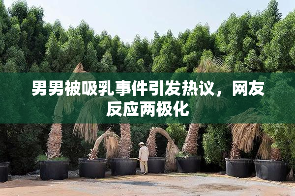 男男被吸乳事件引发热议，网友反应两极化