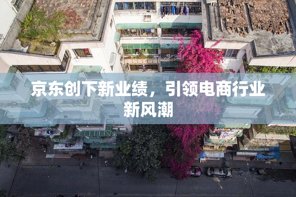 京东创下新业绩，引领电商行业新风潮