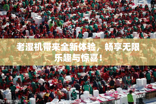 老湿机带来全新体验，畅享无限乐趣与惊喜！