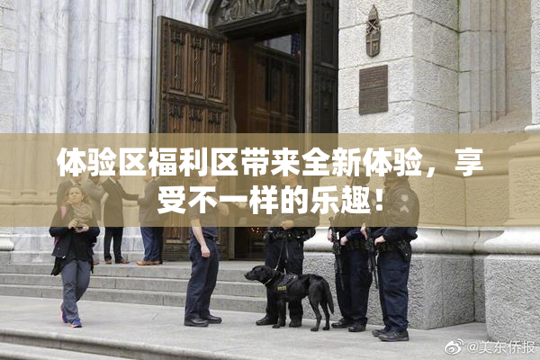 体验区福利区带来全新体验，享受不一样的乐趣！