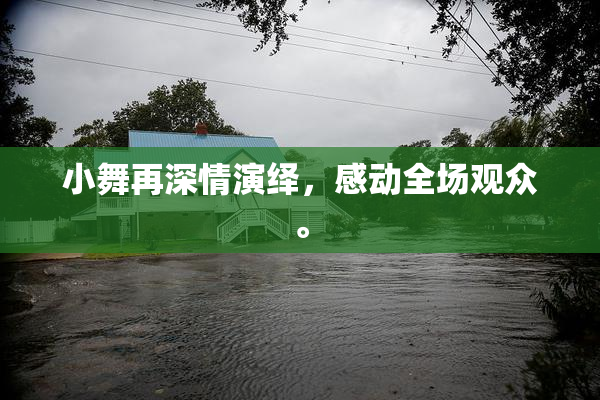 小舞再深情演绎，感动全场观众。