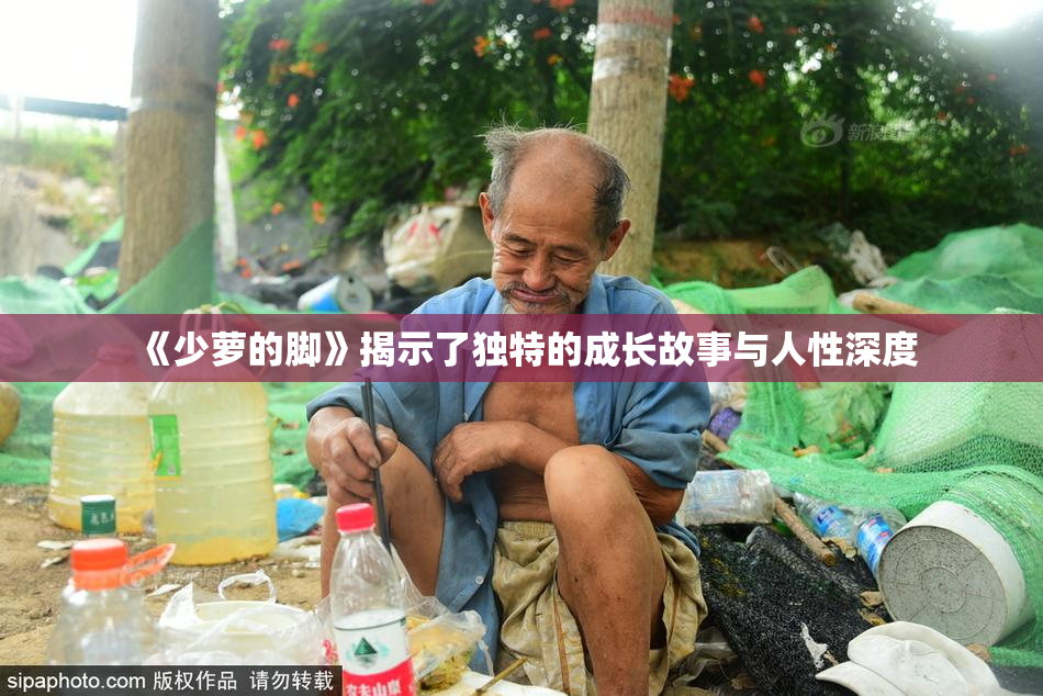 《少萝的脚》揭示了独特的成长故事与人性深度