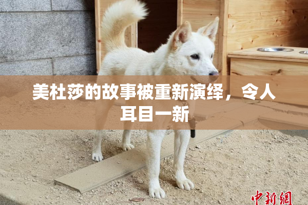 美杜莎的故事被重新演绎，令人耳目一新
