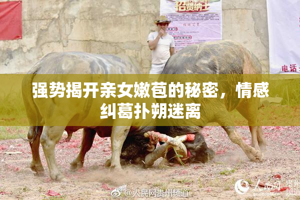强势揭开亲女嫩苞的秘密，情感纠葛扑朔迷离