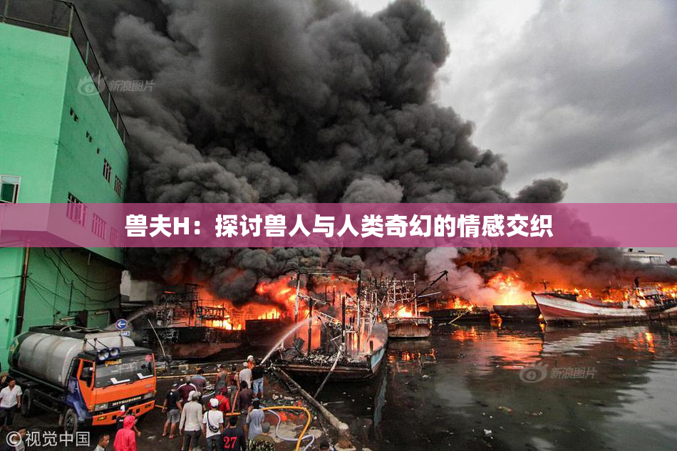 兽夫H：探讨兽人与人类奇幻的情感交织