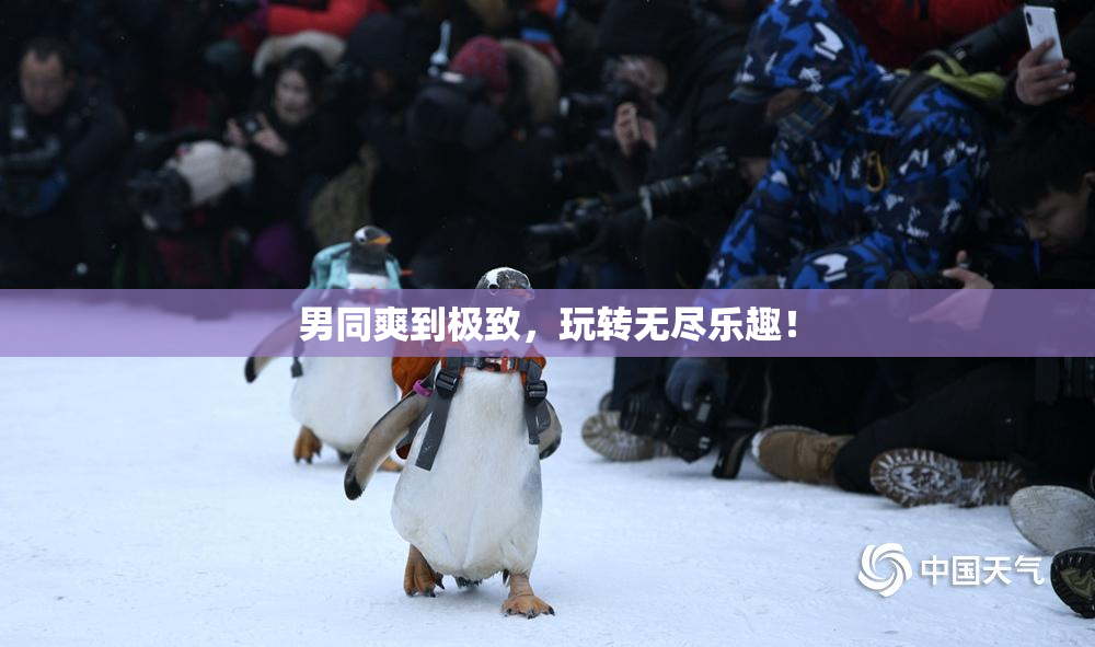 男同爽到极致，玩转无尽乐趣！